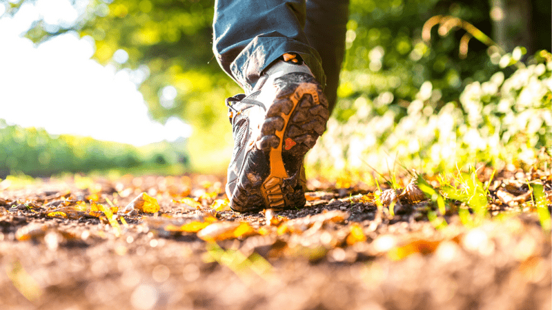 Inventore voluptates velit totam ipsa tenetur