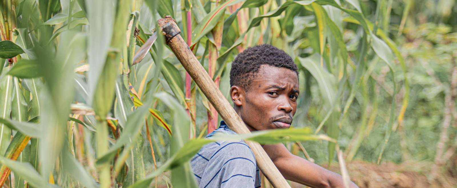 The Long-Term Impact of Women’s Literacy